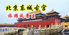 中学生下面的BB被男人的jj插哭了中国北京-东城古宫旅游风景区